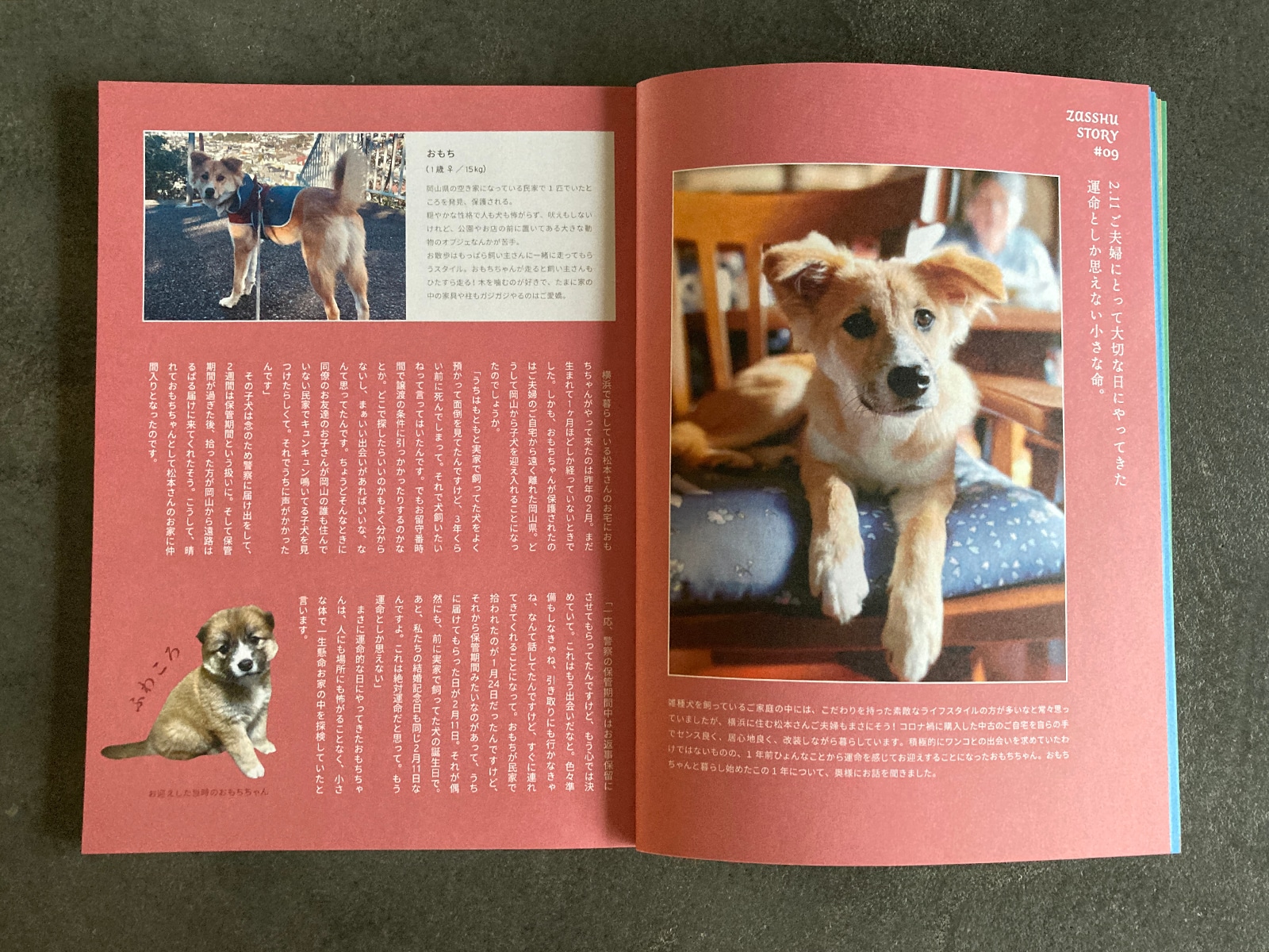 ZASSHU-vol.3:松本家