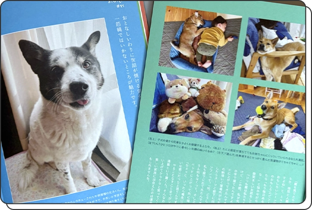 飼い主さん目線の写真