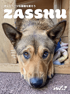 ZASSHU vol.2